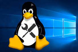 Reparaciòn del sistema operativo Linux